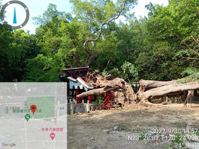 刘厝公园400年老榕树腐朽压垮凉亭。（嘉义市政府提供／廖素慧嘉市传真）