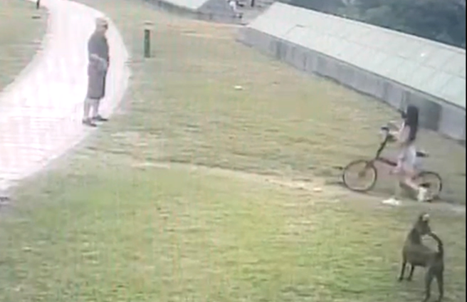 一名男子散步时遭到狗吠，突暴怒亮刀与饲主起争执，警通知到案说明。(叶庭欣翻摄)