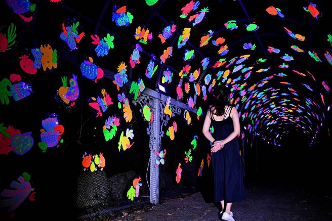 台东县府在知本地区首次举办「台东光祭」，期盼带动观光人潮。（庄哲权摄）