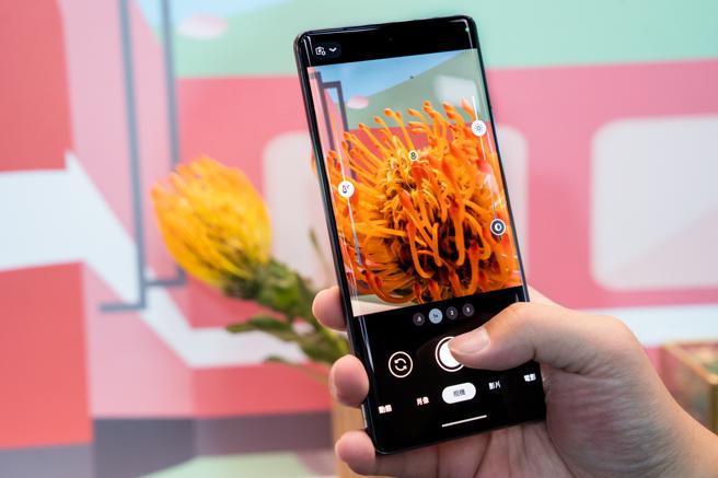 Google Pixel 7 Pro具備全新自動對焦功能的超廣角鏡頭，搭配高動態範圍品質 (HDR+) 銳利的影像品質 ，可在最近3公分的距離下，捕捉細微細節。（Google提供）