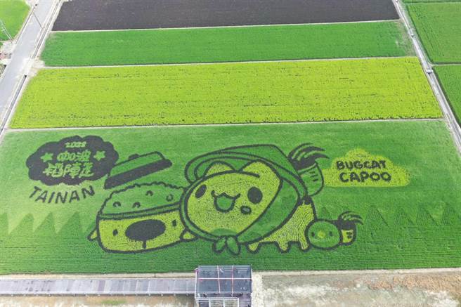 台南好米季今年人气Line贴图「猫猫虫咖波」合作，打造最吸睛的「咖波稻田」。（台南农业局／李俊淇台南传真）