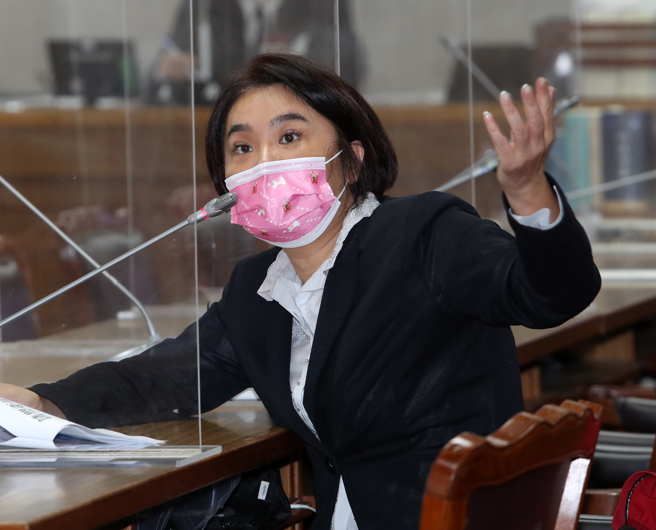 国民党立委陈玉珍。（资料照片，刘宗龙摄）