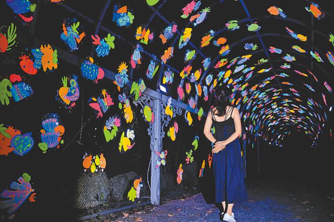 台东县府在知本地区首次举办国际声光艺术节「台东光祭」，期盼带动观光人潮。（蔡旻妤摄）