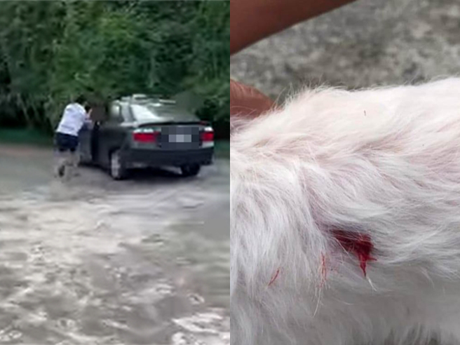 黑车驾驶加速逃离现场。（翻摄爆料公社）