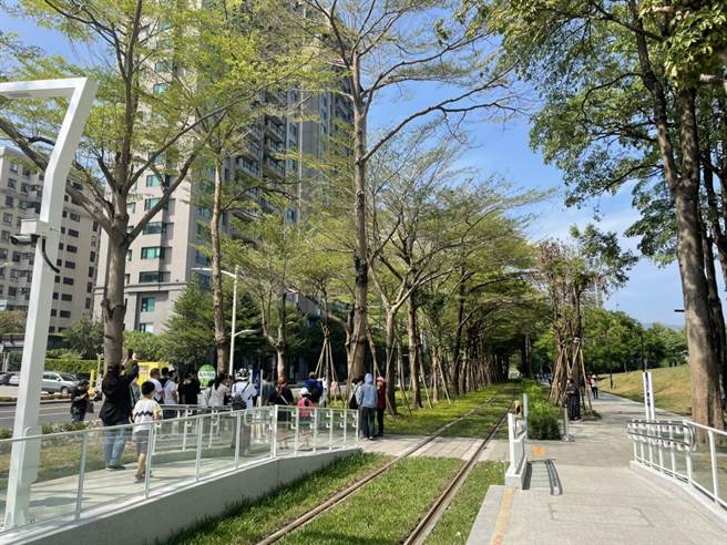 游客抢拍龙猫隧道。（洪靖宜摄）