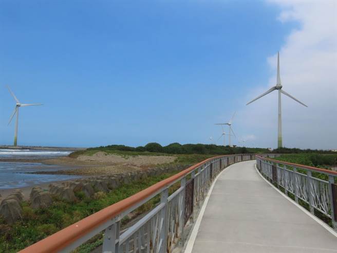 大手拉小手diy玩台中1日游，到大安海域进行生态导览。（业者提供／陈淑娥台中传真）