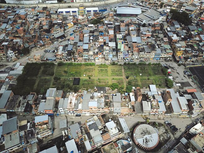 巴西种菜全民运动图╱路透