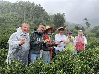 林佳龍攜子弟兵拜會國寶級茶師 盼發揚茶文化