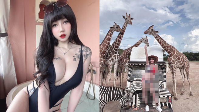 JKF女郎张嘻嘻近日竟穿着国旗比基尼逛泰国动物园。（图／IG@qoomom520000）
