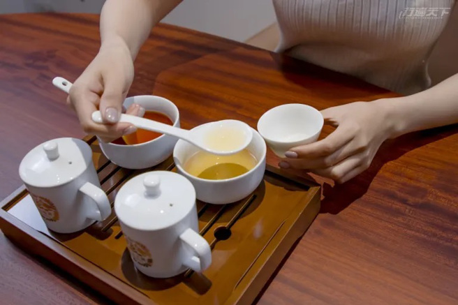一开始利用不同烘焙度的茶汤，亲身感受每种茶的不同前中后韵。（图片提供/ 游山茶访）