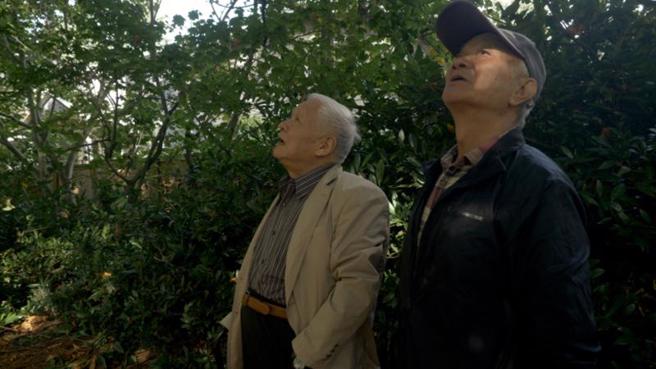 总统府资政、诗人吴晟（右）年少即热爱文学，每个阶段都有前辈厚爱和友人扶持，其中，提携他最多的是作家(哑)弦（左）。图为2人2019年在温哥华相见。（图/ 中央社）