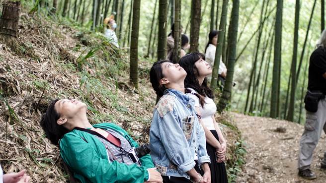 古坑乡草岭石壁的空气据台大实验林管理处研究发现负离子数是都市公园的40倍。（云林县政府提供）