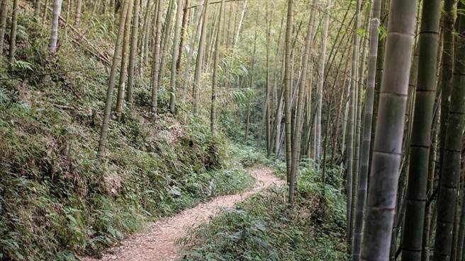 古坑乡石壁山区的五元二角景点。（云林县政府提供）