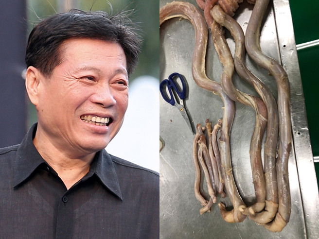 高大成脸书曝光他的特餐，竟是牛鞭、鱷鱼鞭、羊鞭、鱷鱼掌等食材，网友见到新鲜的各部位笑说真是一堂法医解剖课。（翻摄自高大成脸书）