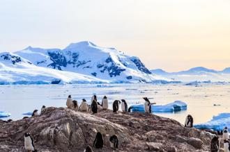 疫後高端客預算增3成 雄獅推126萬30天南極探險團