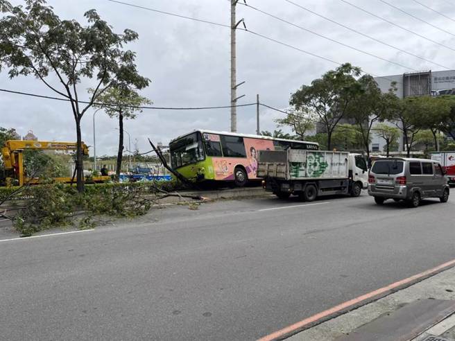 新北树林一辆公车撞机车再衝分隔岛，造成骑士当场惨死。(民眾提供)