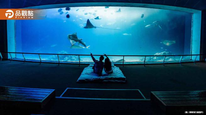 品观点｜屏东海生馆2023夜宿活动开放预约 一窥魔幻海底夜世界（图/品观点提供）