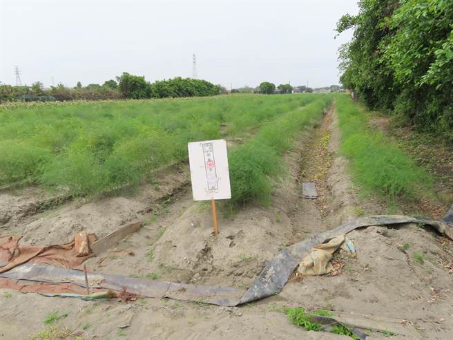 洪男继承422余坪土地遭查封，秒缴清18万元酒驾罚锾。（彰化分署提供／吴敏菁彰化传真）