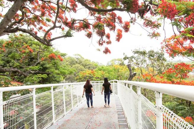 彰化市网红景点－天空步道。　图：彰化县政府城市暨观光发展处／提供