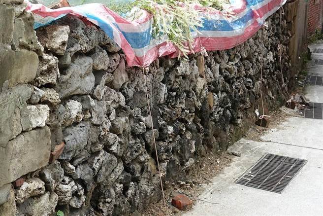 基隆鸟会11日向基隆市政府提报，将八斗子老街列为「聚落建筑群」，努力抢救这个少见的咕咾厝聚落。（基隆鸟会提供／张志康基隆传真）