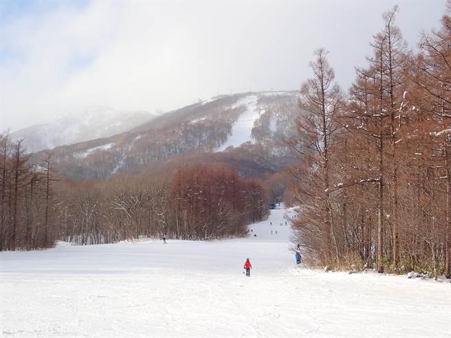 高CP值，雪况好、价钱比较划算则推荐「雫石滑雪场」，平日游客不多，很好练功，地形对新手也友善。。（娜塔虾的滑雪食旅手记提供）