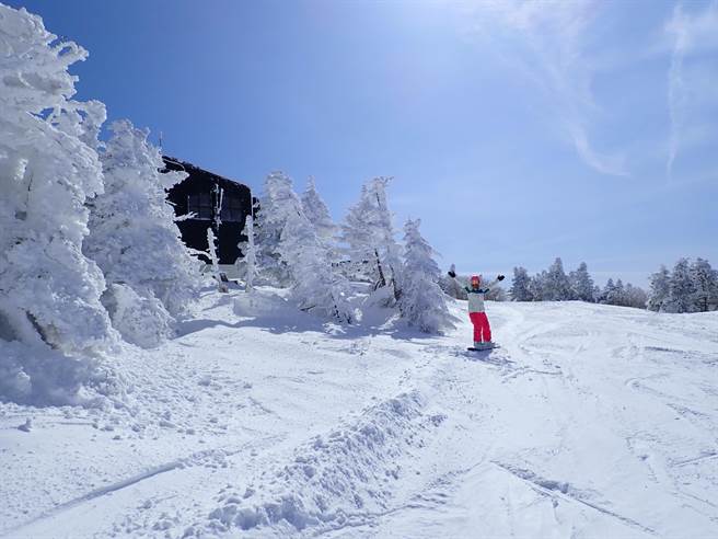 日本最大滑雪区域「志贺高原」，集结了18个滑雪场、51座缆车，地势高雪况好。（娜塔虾的滑雪食旅手记提供）