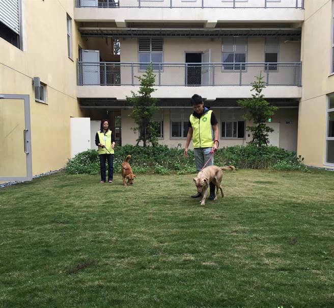 新竹市今年持续办理认养浪犬加码送首年免费宠物保险，欢迎想养宠物的民眾至动保园区，一起以行动响应「认养代替购买」。（陈育贤摄）
