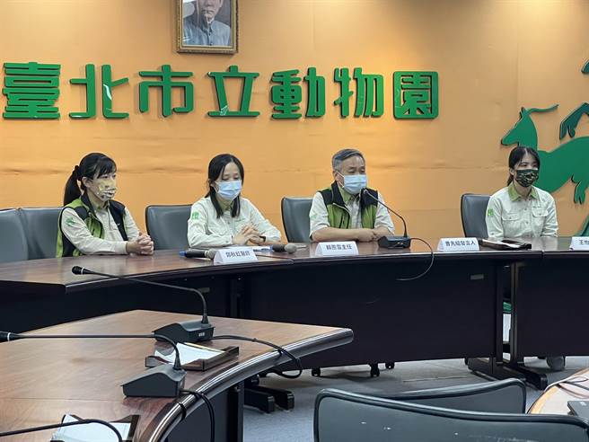 動物園今舉辦團團診斷結果記者會。（游念育攝）