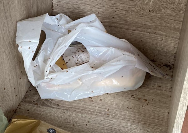 外送員看到某知名大學的外送放置櫃內「佈滿蛆屍體」，直接開酸「也太乾淨了吧」。（翻攝自臉書爆怨公社）