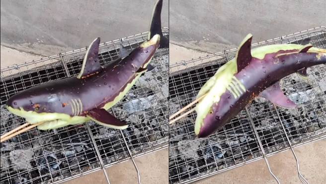 一名网友分享「烤全鲨」的影片，在网路上掀起热烈讨论。（图／翻摄自爆废公社公开版）
