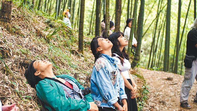 雲林縣古坑鄉草嶺石壁的空氣所含的負離子數是都市公園的40倍。（雲林縣政府提供／周麗蘭雲林傳真）