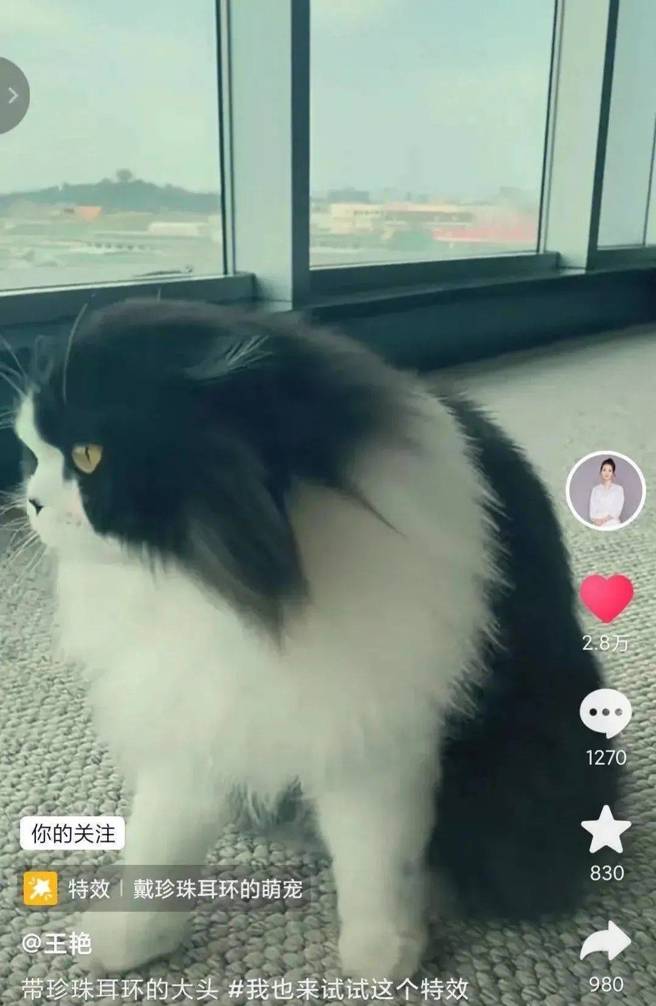 王艷的家中外可远眺故宫美景。(图/王艷 小红书)