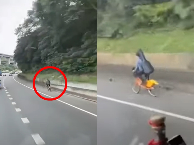 1名驾驶今（13）行驶在国道1号北上37.8公里处发现1名男子骑「Ubike」在路肩一路爬坡，画面曝光网友纷纷直呼太扯。（翻摄自记者爆料网）