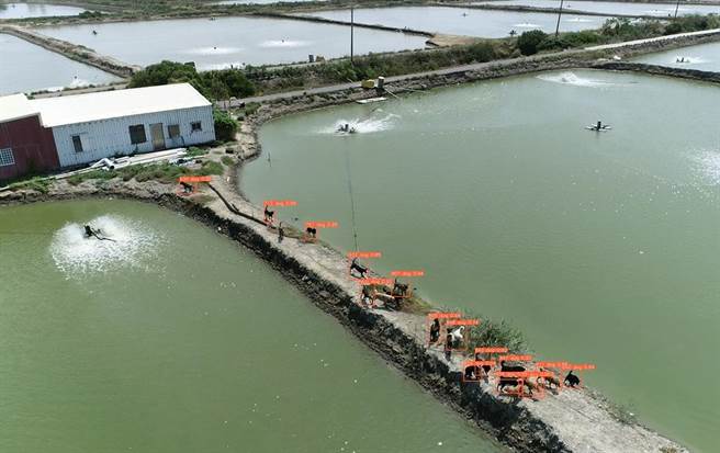 紅框為AI辨識遊蕩犬結果。（台南市政府提供／張毓翎台南傳真）