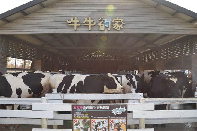 云林县崙背乡千巧谷牛乐园休閒农场揭牌，打造云林休閒农业新篇章。（云林县政府提供／张朝欣云林传真）