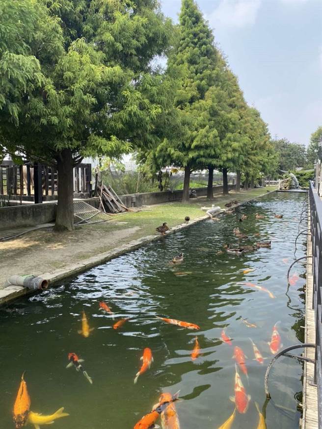 云林县崙背乡千巧谷牛乐园休閒农场揭牌，打造云林休閒农业新篇章。（云林县政府提供／张朝欣云林传真）