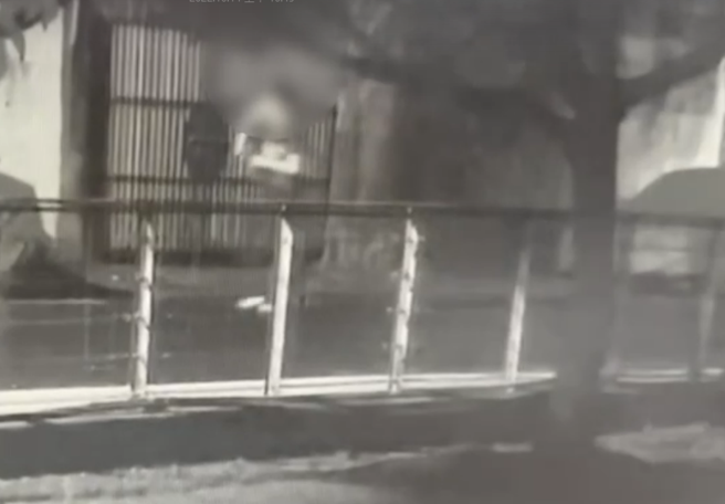 高雄「抹屎怪客」身影曝光！因停车纠纷 竟拿自己粪便涂抹汽机车。(戴志扬翻摄)