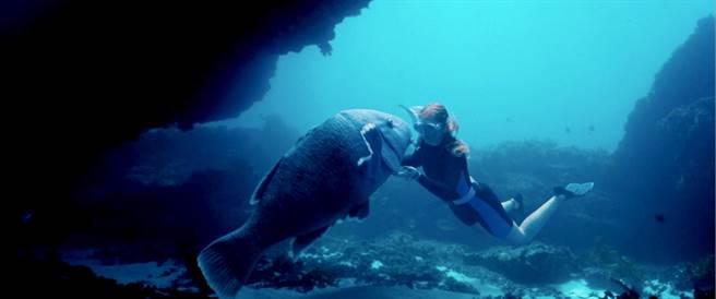 「极境视野」单元选入作品之一《梦迴蓝海》。（金马提供）