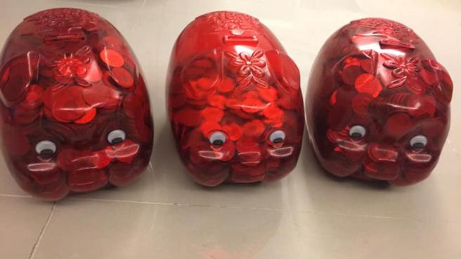 原PO杀了整整2只半的猪公。（图／翻摄自爆废公社公开版）