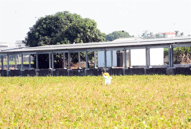 2050净零碳排已成世界趋势，蓝绿屏东县长参选人纷提能源政策，希望争取选民认同。（林和生摄）