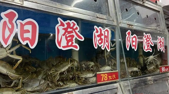 阳澄湖大闸蟹名气大，价格最坚挺，中秋后跌幅仅1成，餐厅的价格又比市场的价格贵上许多。（图／新浪网）