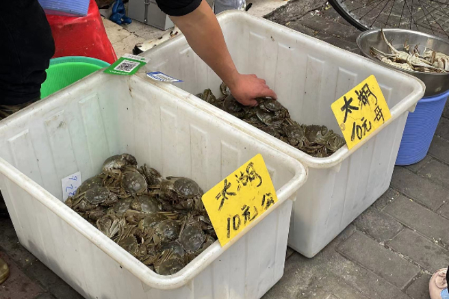 秋节过后，上海菜市场上太湖大闸蟹每只仅卖10元人民币。（图／第一财经)