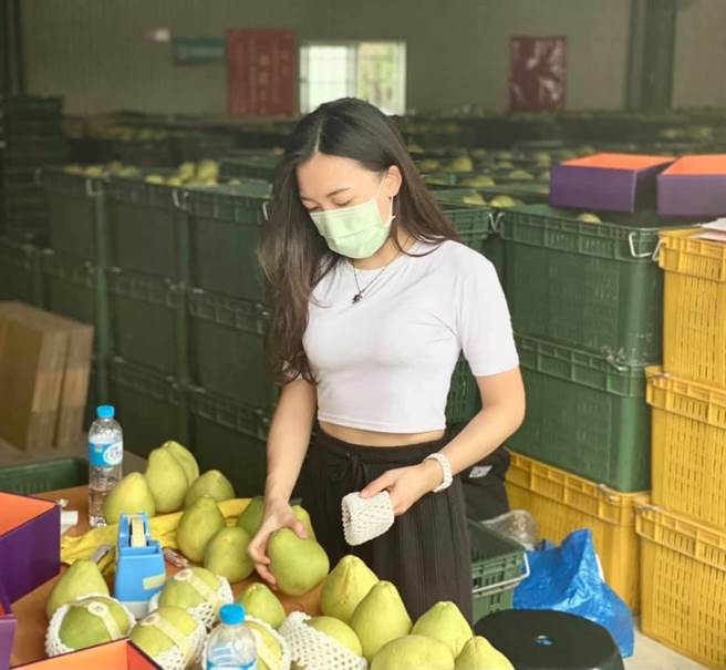 民眾党立委蔡壁如因硕士论文被认定抄袭、撤销学位，请辞立委。一路追打农委会主委陈吉仲过往承包政府研究案涉抄袭的国民党发言人白乔茵，今再于脸书质疑，蔡都辞职了，「自认3％仔的陈吉仲还赖在官位上做什么？」（截自白乔茵脸书）