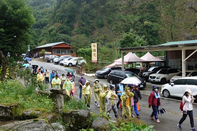 参山国家风景管理处举办的南庄石壁部落健行音乐会，15日上午登场，5百名游客迎着细雨漫步在石壁部落小道上。（参山处提供／谢明俊苗栗传真）