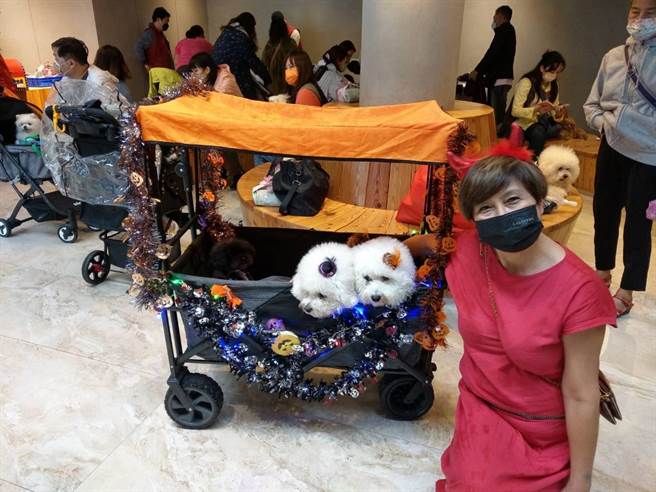 配合月底的萬聖節，飼主替狗狗悉心打扮。（新北市動保處提供）