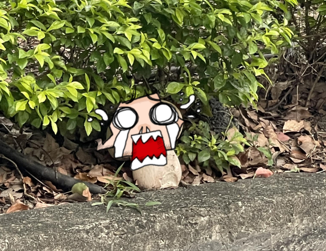 男子拍到分隔岛上有颗「巨型菇」，开玩笑表示可吃好几餐，网友急忙阻止称「别乱採」。（翻摄自脸书路上观察学院）