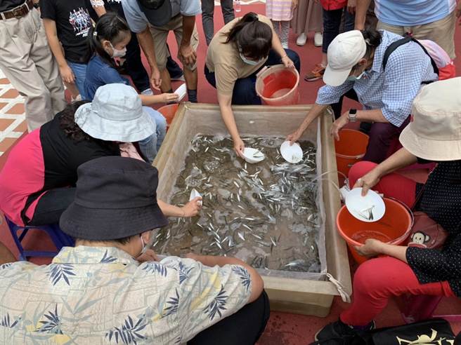 现场举办捞虱目鱼苗大赛，民眾先捞到50尾才算获胜。（安南区公所提供／李俊淇台南传真）