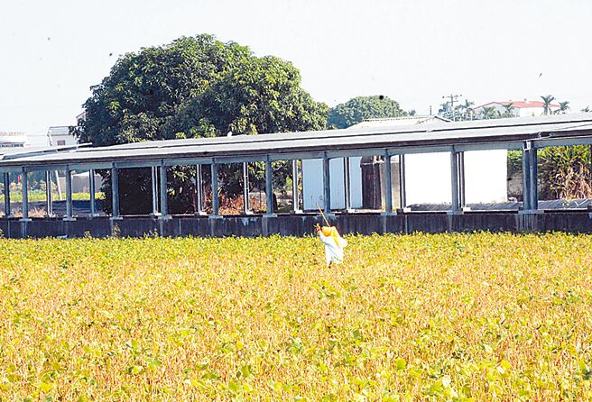 2050净零碳排已成世界趋势，蓝绿屏东县长候选人纷提能源政策，希望争取选民认同。（林和生摄）