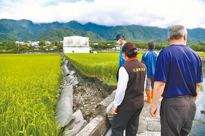 花莲县长徐榛蔚灾后到玉里农田勘灾，了解农田隆起、灌溉沟渠破损的情况，将研拟分级补助。（花莲县政府提供／王志伟花莲传真）