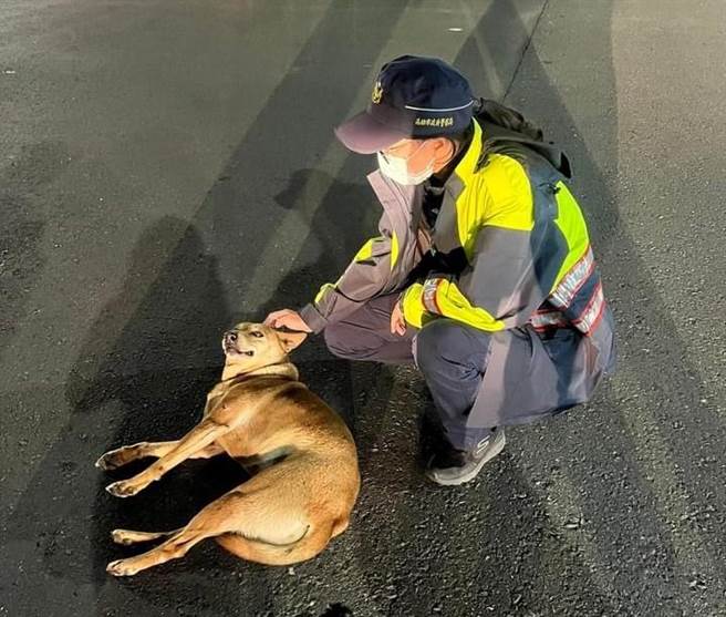 動保處呼籲，民眾請用愛心對待寵物。圖為岡山警方協助流浪狗送醫。（本報資料照片）